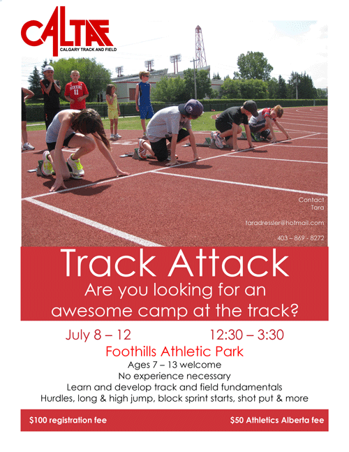 Track attack information 2013