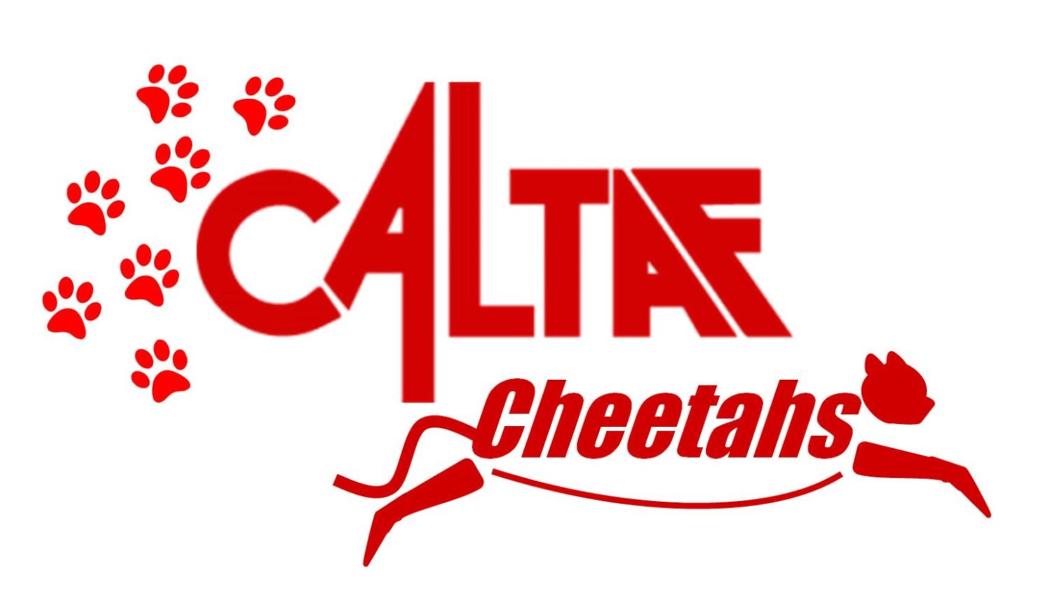 2024 Cheetah Indoor Invitational